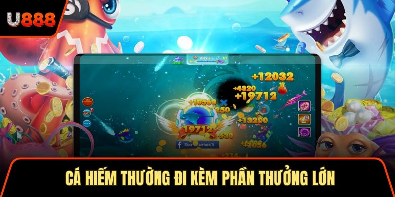 Cá hiếm thường đi kèm phần thưởng lớn